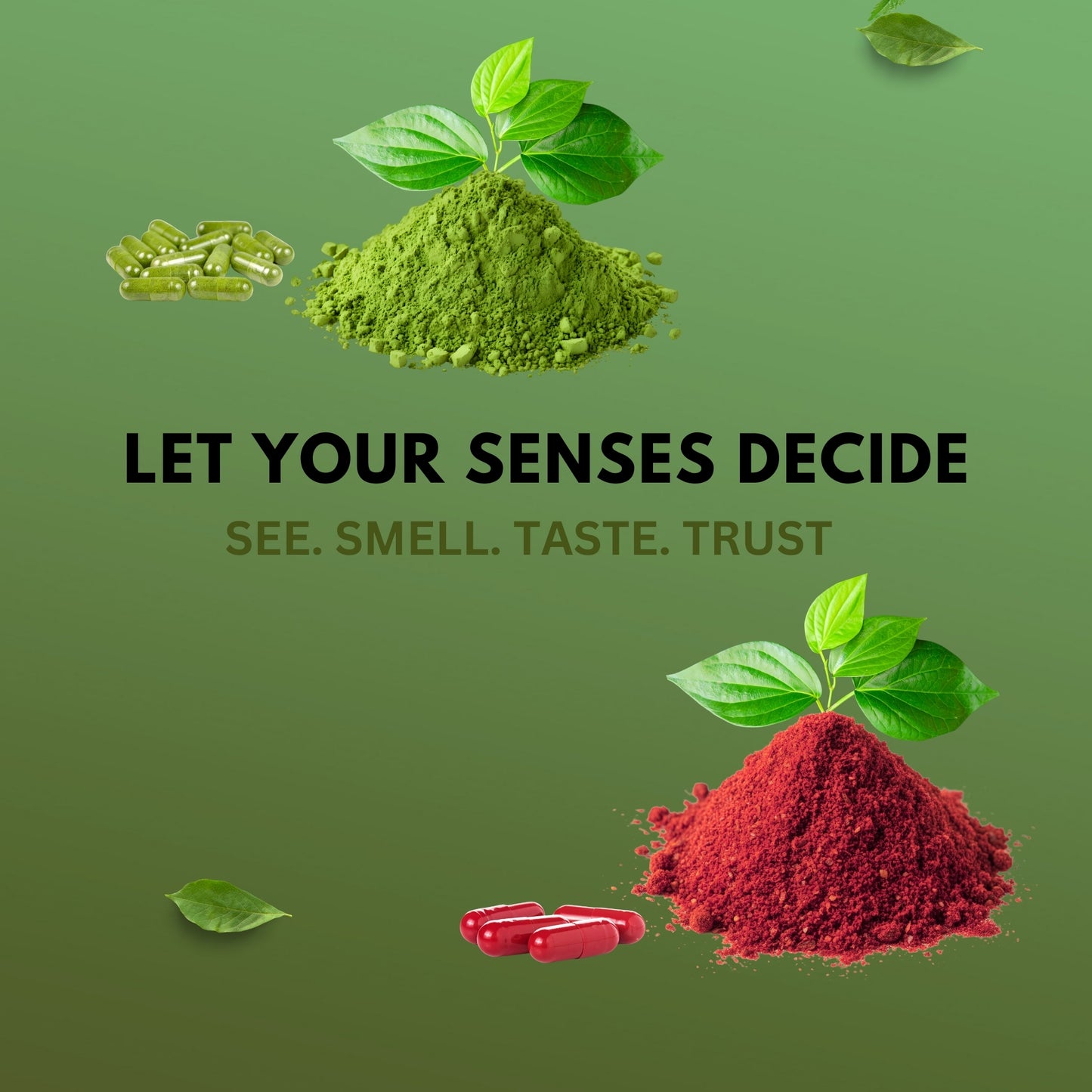 Daily Fruits & Daily Veggies Whole Produce Capsules – Complete Whole Food Nutrition (120 Capsules Each)