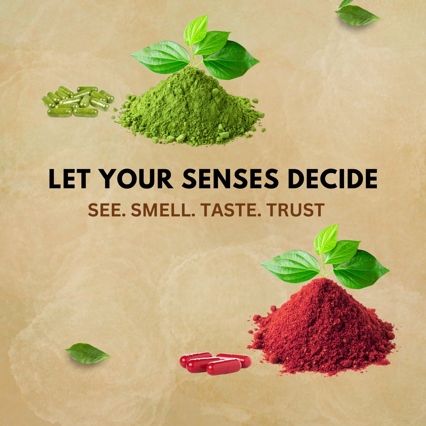 Everyday Fruits & Veggies Capsules – Whole Food Daily Nutrition Blend (120 Capsules Each)