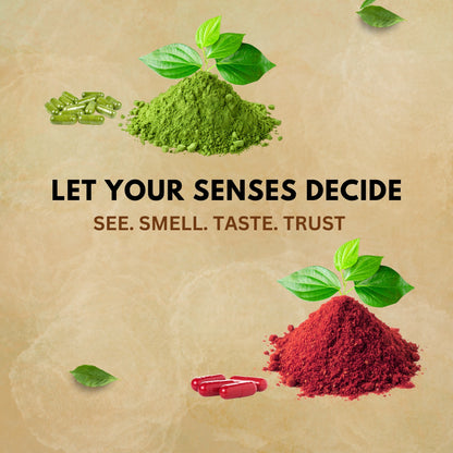 Everyday Fruits & Veggies Capsules – Whole Food Daily Nutrition Blend (120 Capsules Each)